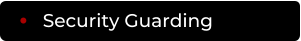 Security Guarding