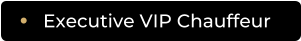 Executive VIP Chauffeur