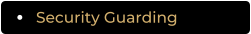 Security Guarding