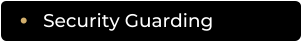 Security Guarding