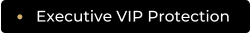Executive VIP Protection